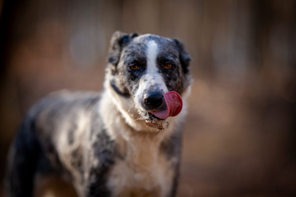 received_1448746089981778