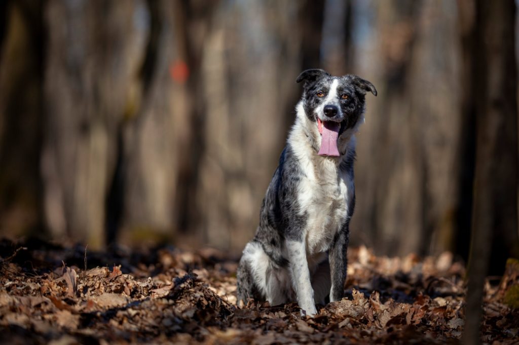 received_1602059861040282