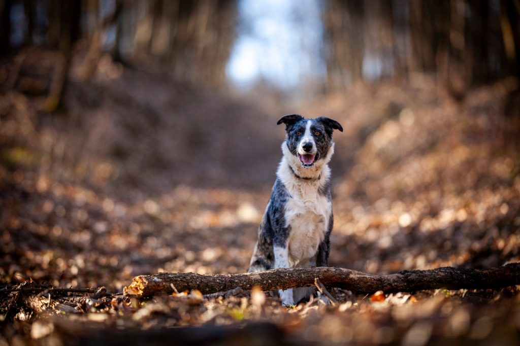 received_2480060472453843